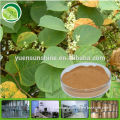 cosmetic material polygonum cuspidatum root extract P.E. powder/resveratrol 50% 98%